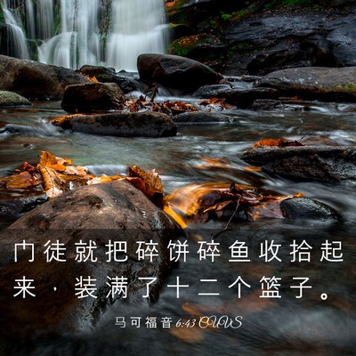 Picture 03 - 马 可 福 音 6:43 CUVS - 门 徒 就 把 碎 饼 碎 鱼 收 拾 起 来 - Bible Verse Picture