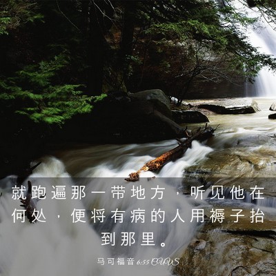 Picture 03 - 马 可 福 音 6:55 CUVS - 就 跑 遍 那 一 带 地 方 ， 听 见 他 - Bible Verse Picture