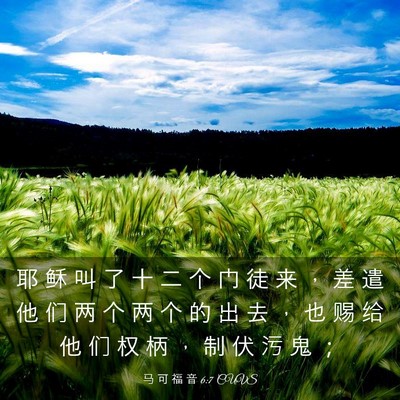 Picture 03 - 马 可 福 音 6:7 CUVS - 耶 稣 叫 了 十 二 个 门 徒 来 ， 差 - Bible Verse Picture