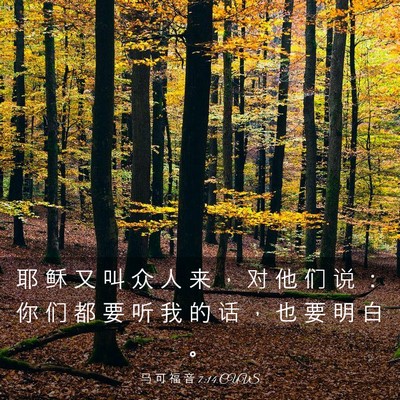 Picture 03 - 马 可 福 音 7:14 CUVS - 耶 稣 又 叫 众 人 来 ， 对 他 们 说 - Bible Verse Picture