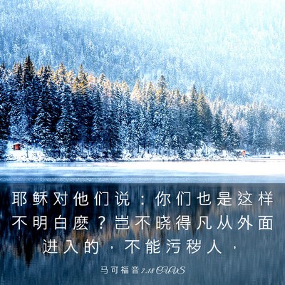 Picture 03 - 马 可 福 音 7:18 CUVS - 耶 稣 对 他 们 说 ： 你 们 也 是 这 - Bible Verse Picture