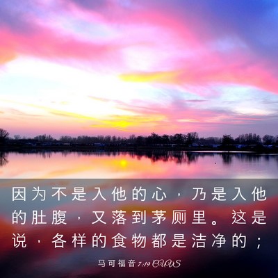Picture 03 - 马 可 福 音 7:19 CUVS - 因 为 不 是 入 他 的 心 ， 乃 是 入 - Bible Verse Picture
