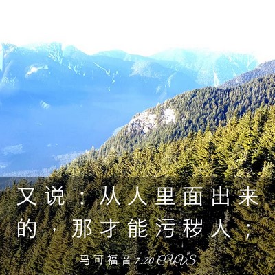 Picture 03 - 马 可 福 音 7:20 CUVS - 又 说 ： 从 人 里 面 出 来 的 ， 那 - Bible Verse Picture