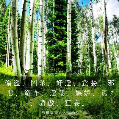 Picture 03 - 马 可 福 音 7:22 CUVS - 偷 盗 、 凶 杀 、 奸 淫 、 贪 婪 、 - Bible Verse Picture