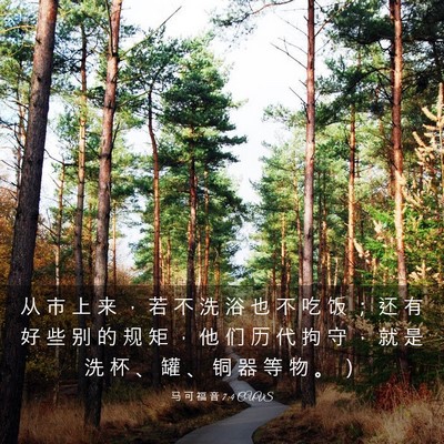 Picture 03 - 马 可 福 音 7:4 CUVS - 从 市 上 来 ， 若 不 洗 浴 也 不 吃 - Bible Verse Picture