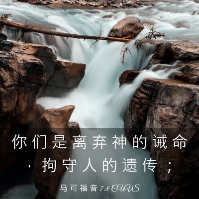 Picture 03 - 马 可 福 音 7:8 CUVS - 你 们 是 离 弃 神 的 诫 命 ， 拘 守 - Bible Verse Picture