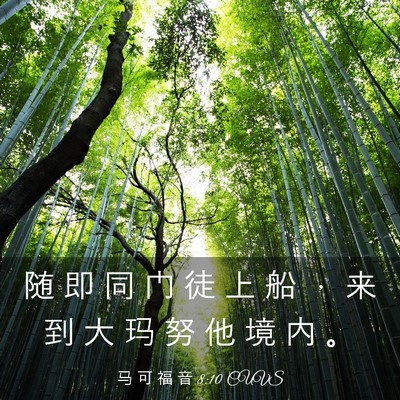Picture 03 - 马 可 福 音 8:10 CUVS - 随 即 同 门 徒 上 船 ， 来 到 大 玛 - Bible Verse Picture