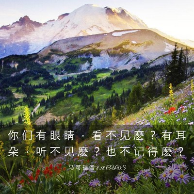 Picture 03 - 马 可 福 音 8:18 CUVS - 你 们 有 眼 睛 ， 看 不 见 麽 ？ 有 - Bible Verse Picture