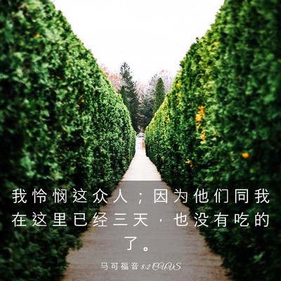 Picture 03 - 马 可 福 音 8:2 CUVS - 我 怜 悯 这 众 人 ； 因 为 他 们 同 - Bible Verse Picture