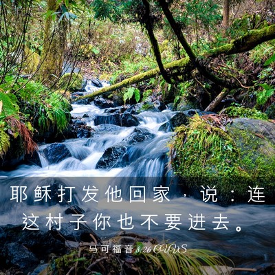 Picture 03 - 马 可 福 音 8:26 CUVS - 耶 稣 打 发 他 回 家 ， 说 ： 连 这 - Bible Verse Picture