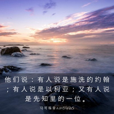 Picture 03 - 马 可 福 音 8:28 CUVS - 他 们 说 ： 有 人 说 是 施 洗 的 约 - Bible Verse Picture