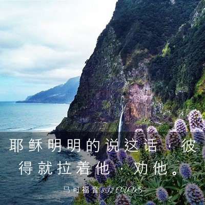 Picture 03 - 马 可 福 音 8:32 CUVS - 耶 稣 明 明 的 说 这 话 ， 彼 得 就 - Bible Verse Picture