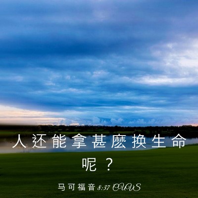 Picture 03 - 马 可 福 音 8:37 CUVS - 人 还 能 拿 甚 麽 换 生 命 呢 - Bible Verse Picture