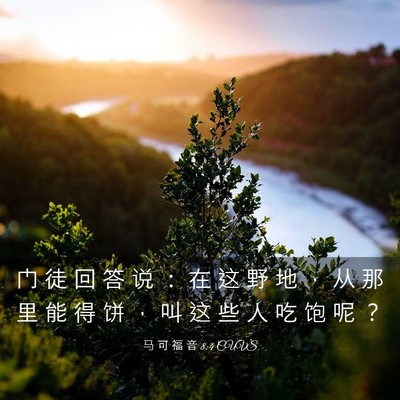 Picture 03 - 马 可 福 音 8:4 CUVS - 门 徒 回 答 说 ： 在 这 野 地 ， 从 - Bible Verse Picture