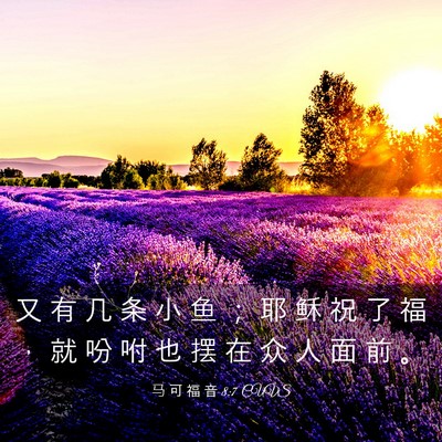 Picture 03 - 马 可 福 音 8:7 CUVS - 又 有 几 条 小 鱼 ； 耶 稣 祝 了 福 - Bible Verse Picture