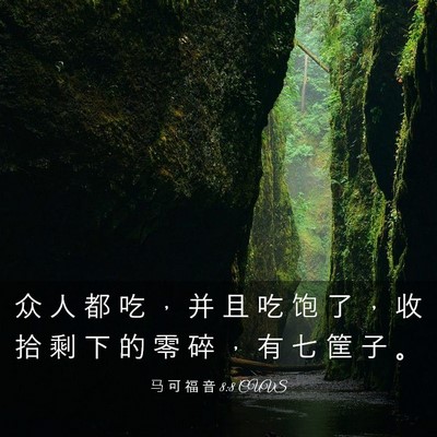 Picture 03 - 马 可 福 音 8:8 CUVS - 众 人 都 吃 ， 并 且 吃 饱 了 ， 收 - Bible Verse Picture