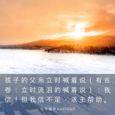 Picture 03 - 马 可 福 音 9:24 CUVS - 孩 子 的 父 亲 立 时 喊 着 说 （ 有 - Bible Verse Picture