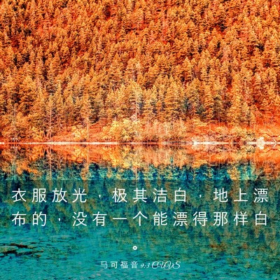 Picture 03 - 马 可 福 音 9:3 CUVS - 衣 服 放 光 ， 极 其 洁 白 ， 地 上 - Bible Verse Picture