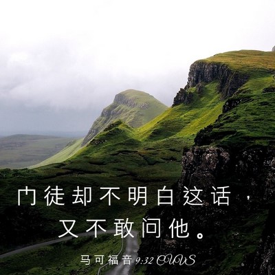 Picture 03 - 马 可 福 音 9:32 CUVS - 门 徒 却 不 明 白 这 话 ， 又 不 敢 - Bible Verse Picture