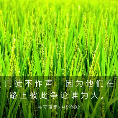 Picture 03 - 马 可 福 音 9:34 CUVS - 门 徒 不 作 声 ， 因 为 他 们 在 路 - Bible Verse Picture