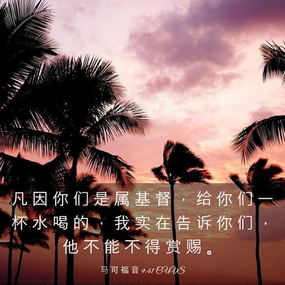 Picture 03 - 马 可 福 音 9:41 CUVS - 凡 因 你 们 是 属 基 督 ， 给 你 们 - Bible Verse Picture