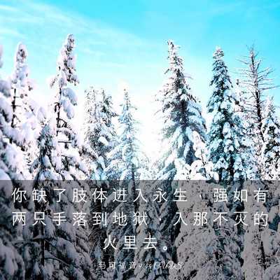 Picture 03 - 马 可 福 音 9:44 CUVS - 你 缺 了 肢 体 进 入 永 生 ， 强 如 - Bible Verse Picture