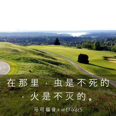 Picture 03 - 马 可 福 音 9:48 CUVS - 在 那 里 ， 虫 是 不 死 的 ， 火 是 - Bible Verse Picture