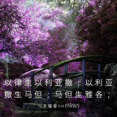 Picture 03 - 马 太 福 音 1:15 CUVS - 以 律 生 以 利 亚 撒 ； 以 利 亚 撒 - Bible Verse Picture