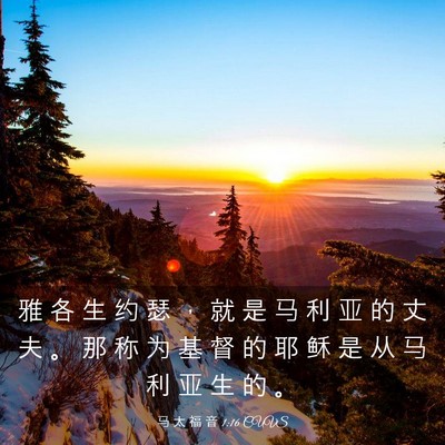 Picture 03 - 马 太 福 音 1:16 CUVS - 雅 各 生 约 瑟 ， 就 是 马 利 亚 的 - Bible Verse Picture