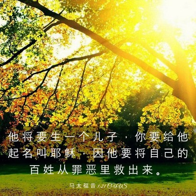 Picture 03 - 马 太 福 音 1:21 CUVS - 他 将 要 生 一 个 儿 子 ， 你 要 给 - Bible Verse Picture