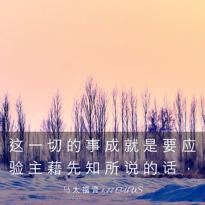 Picture 03 - 马 太 福 音 1:22 CUVS - 这 一 切 的 事 成 就 是 要 应 验 主 - Bible Verse Picture