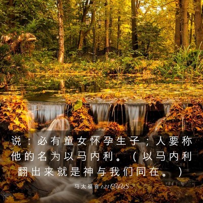 Picture 03 - 马 太 福 音 1:23 CUVS - 说 ： 必 有 童 女 怀 孕 生 子 ； 人 - Bible Verse Picture