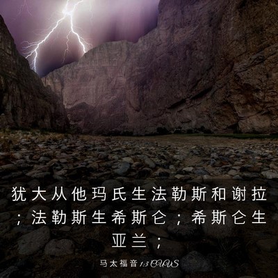 Picture 03 - 马 太 福 音 1:3 CUVS - 犹 大 从 他 玛 氏 生 法 勒 斯 和 谢 - Bible Verse Picture