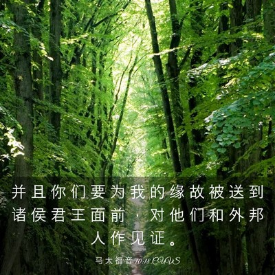 Picture 03 - 马 太 福 音 10:18 CUVS - 并 且 你 们 要 为 我 的 缘 故 被 送 - Bible Verse Picture