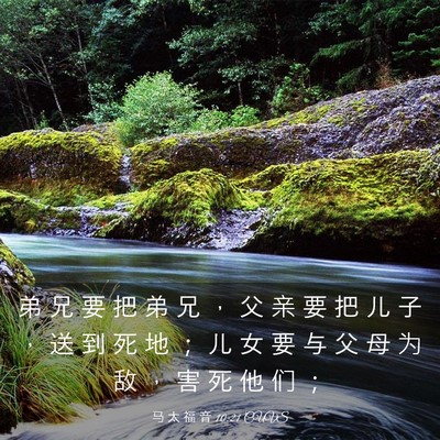 Picture 03 - 马 太 福 音 10:21 CUVS - 弟 兄 要 把 弟 兄 ， 父 亲 要 把 儿 - Bible Verse Picture