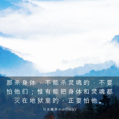Picture 03 - 马 太 福 音 10:28 CUVS - 那 杀 身 体 ， 不 能 杀 灵 魂 的 ， - Bible Verse Picture