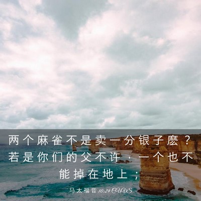 Picture 03 - 马 太 福 音 10:29 CUVS - 两 个 麻 雀 不 是 卖 一 分 银 子 麽 - Bible Verse Picture