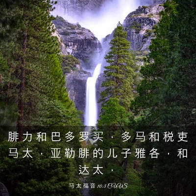 Picture 03 - 马 太 福 音 10:3 CUVS - 腓 力 和 巴 多 罗 买 ， 多 马 和 税 - Bible Verse Picture