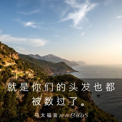 Picture 03 - 马 太 福 音 10:30 CUVS - 就 是 你 们 的 头 发 也 都 被 数 过 - Bible Verse Picture