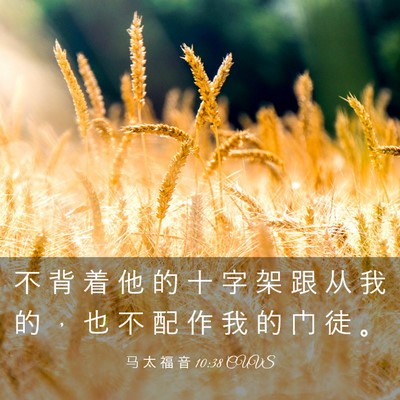 Picture 03 - 马 太 福 音 10:38 CUVS - 不 背 着 他 的 十 字 架 跟 从 我 的 - Bible Verse Picture