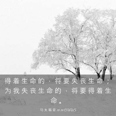 Picture 03 - 马 太 福 音 10:39 CUVS - 得 着 生 命 的 ， 将 要 失 丧 生 命 - Bible Verse Picture