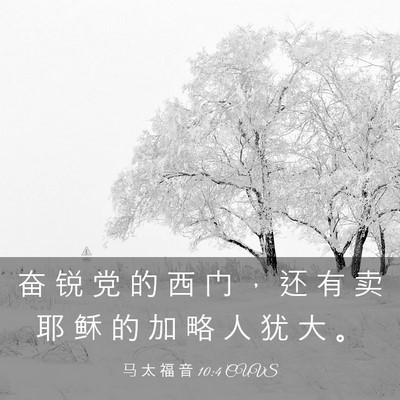 Picture 03 - 马 太 福 音 10:4 CUVS - 奋 锐 党 的 西 门 ， 还 有 卖 耶 稣 - Bible Verse Picture