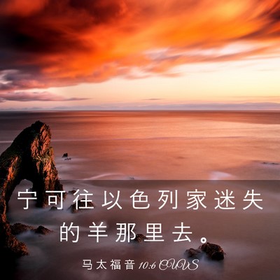 Picture 03 - 马 太 福 音 10:6 CUVS - 宁 可 往 以 色 列 家 迷 失 的 羊 那 - Bible Verse Picture