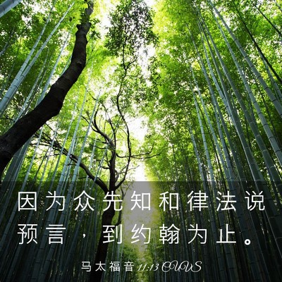 Picture 03 - 马 太 福 音 11:13 CUVS - 因 为 众 先 知 和 律 法 说 预 言 ， - Bible Verse Picture