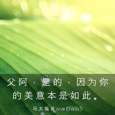 Picture 03 - 马 太 福 音 11:26 CUVS - 父 阿 ， 是 的 ， 因 为 你 的 美 意 - Bible Verse Picture