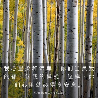 Picture 03 - 马 太 福 音 11:29 CUVS - 我 心 里 柔 和 谦 卑 ， 你 们 当 负 - Bible Verse Picture