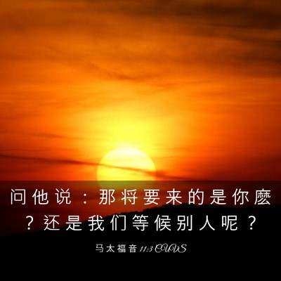 Picture 03 - 马 太 福 音 11:3 CUVS - 问 他 说 ： 那 将 要 来 的 是 你 麽 - Bible Verse Picture