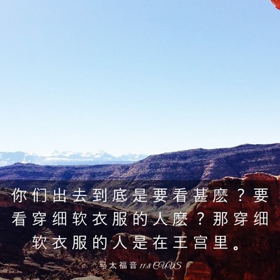 Picture 03 - 马 太 福 音 11:8 CUVS - 你 们 出 去 到 底 是 要 看 甚 麽 ？ - Bible Verse Picture