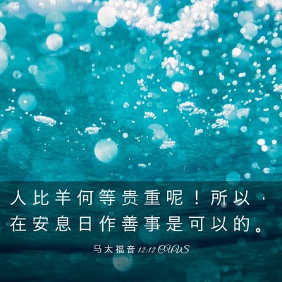 Picture 03 - 马 太 福 音 12:12 CUVS - 人 比 羊 何 等 贵 重 呢 ！ 所 以 ， - Bible Verse Picture