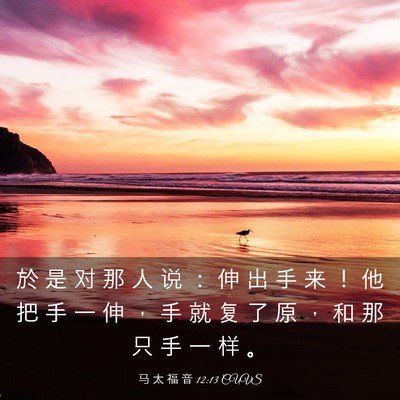 Picture 03 - 马 太 福 音 12:13 CUVS - 於 是 对 那 人 说 ： 伸 出 手 来 ！ - Bible Verse Picture
